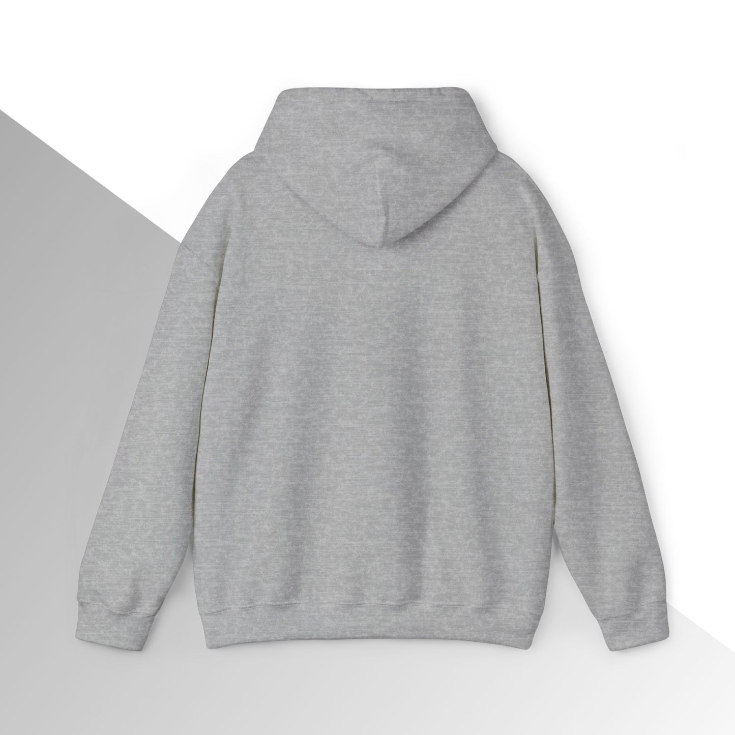 Jesus is King Hoodie