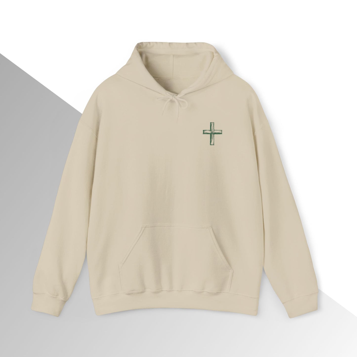 Copy of God’s Plan, My Plan Hoodie