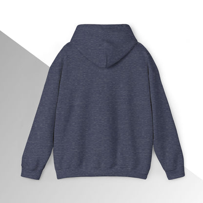 Jesus is King Hoodie