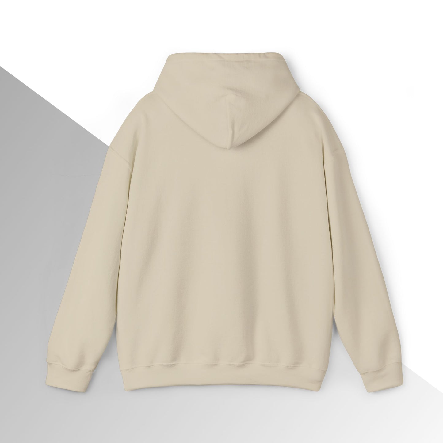 Jesus is King Hoodie