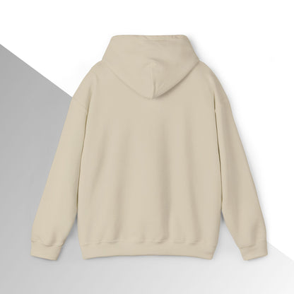 Jesus is King Hoodie