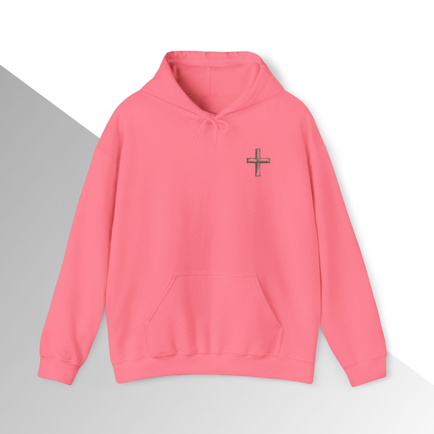 Copy of God’s Plan, My Plan Hoodie
