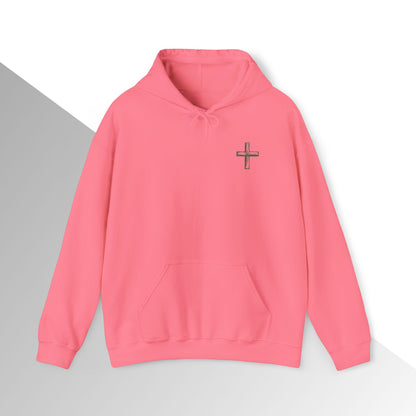 Copy of God’s Plan, My Plan Hoodie